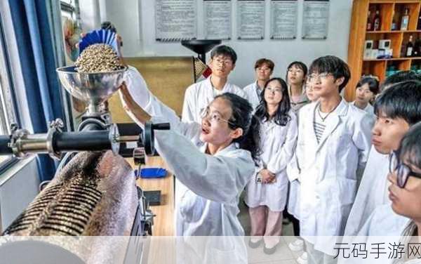 张雨欣人文艺术欣赏ppt内容：1. 探索人文艺术的精髓与价值