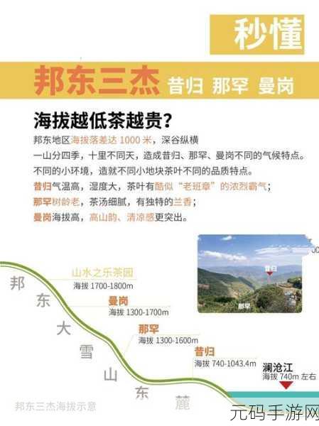 你知道一线产区和二线产区的知名品牌是有多强大吗：一线与二线产区品牌影响力的深度解析