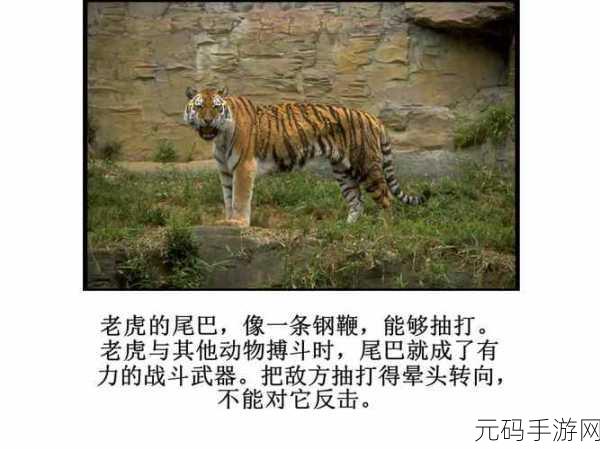蛇王的尾巴高ah竟然有这种神奇功能：1. 蛇王尾巴的秘密：揭开神奇功能背后的故事