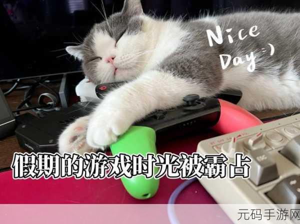 老婆不在家男人玩的游戏：1. 《老婆不在家，男人的独享游戏时光