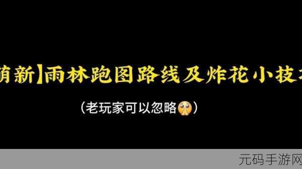 光遇世界新攻略，揭秘炸花技巧，探索奇妙之旅