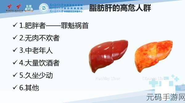 办公室强肝是好事还是恶性:1. 办公室强肝:职场健康的双刃剑