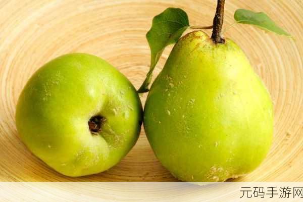 贵丰大菠萝333：1. 贵丰大菠萝333：探索热带水果的美味之旅