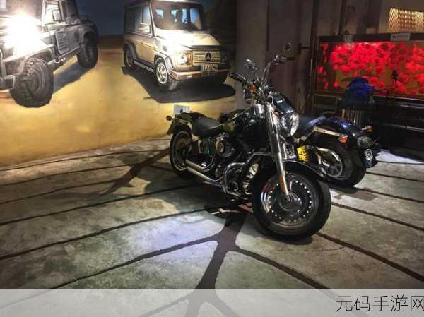 贵丰大菠萝333：1. 贵丰大菠萝333：探索热带水果的美味之旅