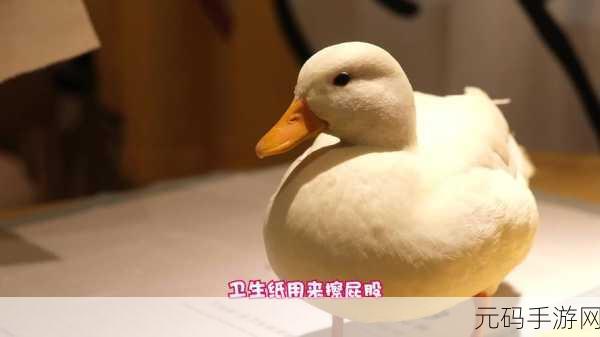已满18岁已带好卫生纸怎么办:1. 已满18岁,如何妥善处理卫生纸?