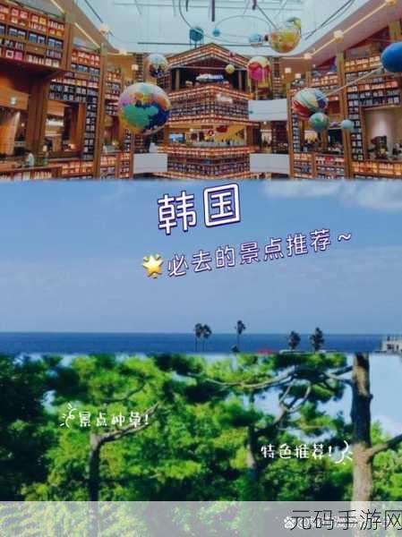 最近日本韩国高清免费观看中文版：1. 日本与韩国：穿越文化的奇妙旅程