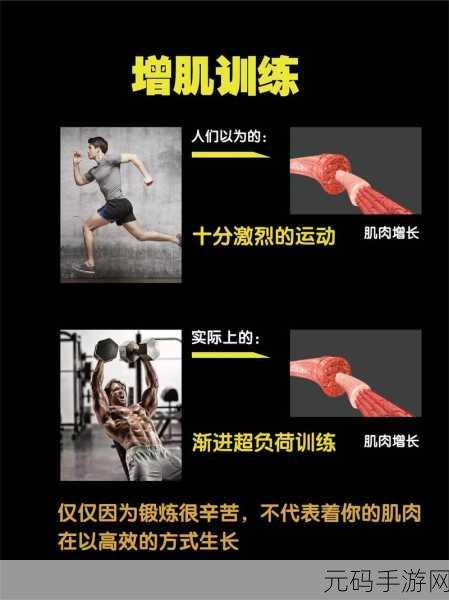 肌肉壮能G a y：1. 肌肉壮能：健身爱好者的力量秘诀