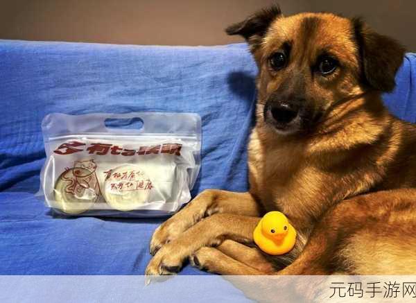 人狗胶配方大全：1. 创新人狗胶配方：健康与美味的完美结合