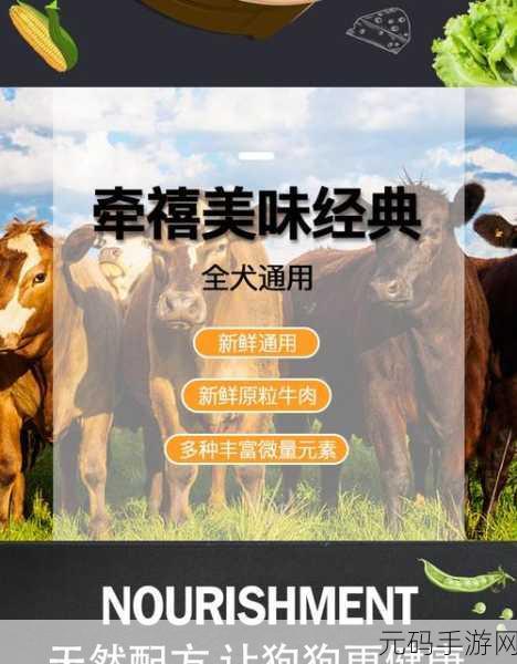 人狗胶配方大全：1. 创新人狗胶配方：健康与美味的完美结合