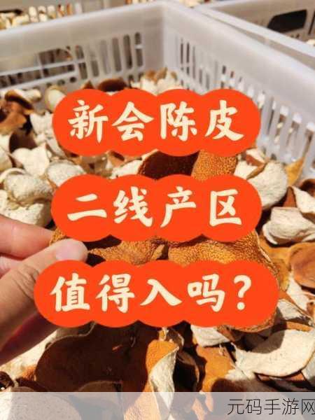 一线产区和二线产区的主要差距是什么:一线与二线产区的核心差异分析及影响探讨