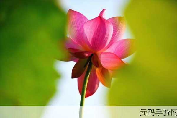 水影的怀孕训练游戏：1. 水影的孕期冒险：探索生命的奇迹