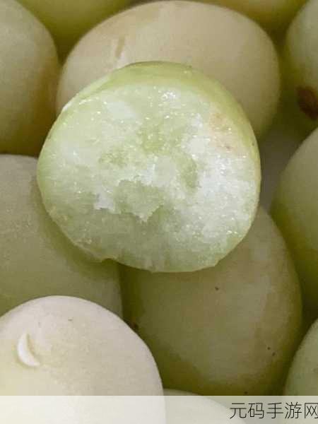 葡萄不准掉出来晚上检查：1. 葡萄不准掉落的夜间检查妙招