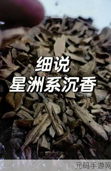 沉香的一线产区:1. 沉香一线产区的独特魅力与价值探讨