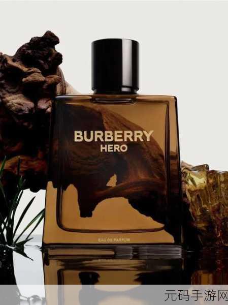 BURBERRY中文免费版：1. 探索BURBERRY：经典与现代交融的奢华之旅
