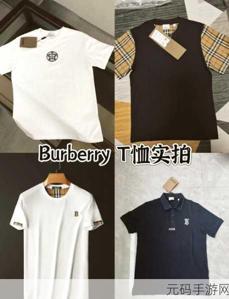 BURBERRY中文免费版：1. 探索BURBERRY：经典与现代交融的奢华之旅