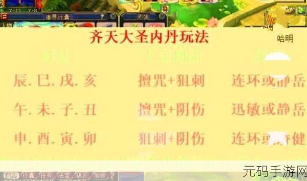 梦幻西游手游深度解析，内丹功能全攻略，宠物战力飙升秘籍