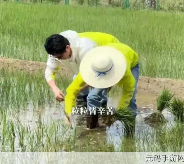 情侣插秧的100种方法:1. 爱情与农田:情侣插秧的创意玩法