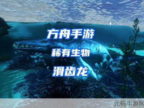 方舟手游，恐龙驯服秘籍大揭秘