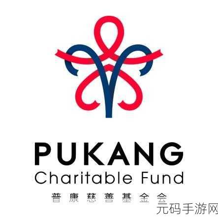 以下哪一项是基金会的组织特点:基金会的组织特点及其社会影响力分析