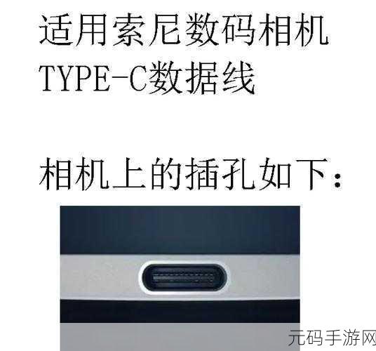 C人动作教程：1. C人动作全面解析：从初学者到高手的转变