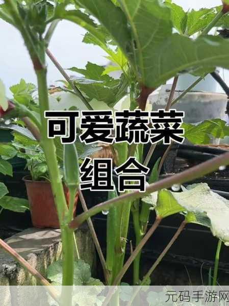 草莓丝瓜榴莲秋葵：1. 新鲜夏季水果与蔬菜的完美搭配