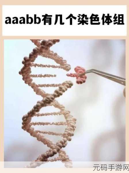 AAABBAAA和ABCD号:1. 《在AAABBAAA的背后:探索生命中的多重可能