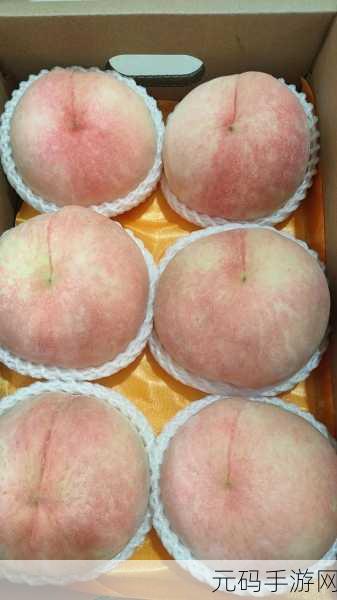 国产水蜜桃:1. 水蜜桃鲜香扑鼻,夏日解暑的最佳选择
