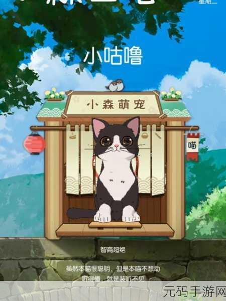 小森生活,解锁猫碗获取秘籍,打造温馨猫咪乐园