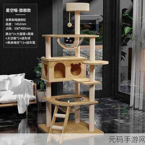 小森生活,解锁猫碗获取秘籍,打造温馨猫咪乐园