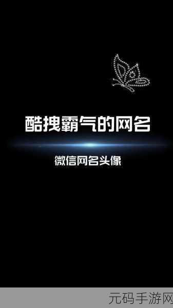 tom1688最新地域网名：1. 深入探索tom1688地域网名的多样化表现