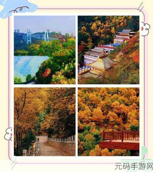 可以进你的后花园吗：1.探索后花园的秘密：自然与宁静的结合