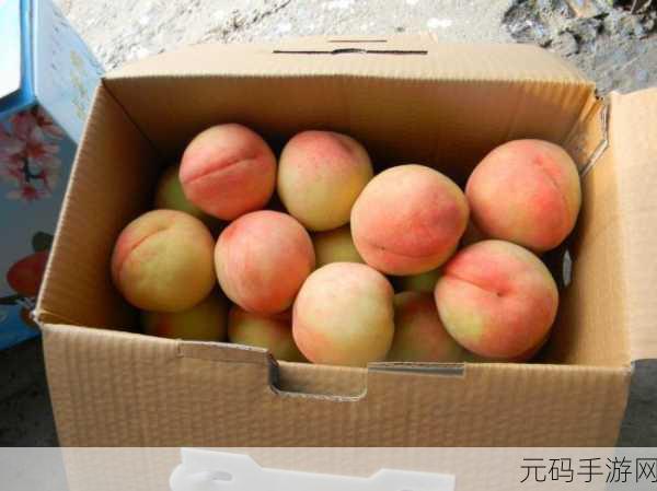 欧产日产国色天香水蜜桃的品鉴：1. ＂探寻国色天香：欧产日产水蜜桃的独特魅力