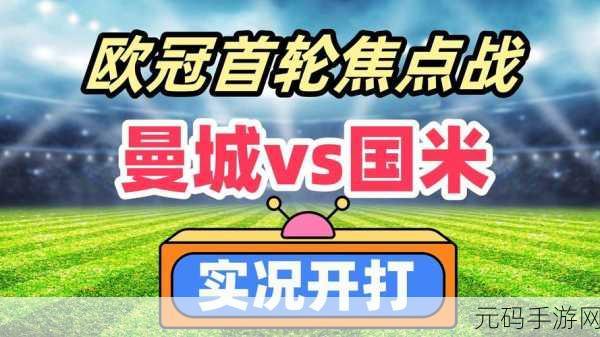 红桃国产：1. 红桃产业的未来：创新与市场拓展之路