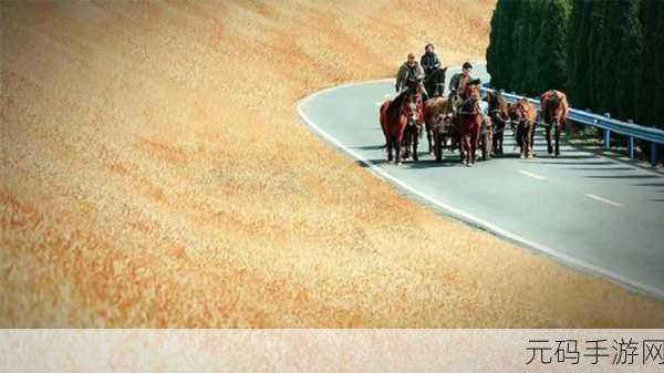 仙踪林company大中国:1. 仙踪林:探索大中国的无限商业可能