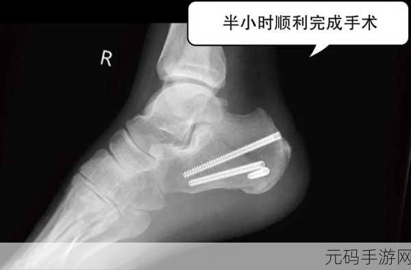 起来还在c骨科：1. 骨科领域的创新与发展：前沿技术应用
