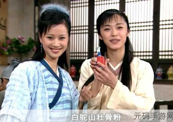 武林外传新挑战，揭秘白驼山轻松征服秘籍，效率组合大放异彩