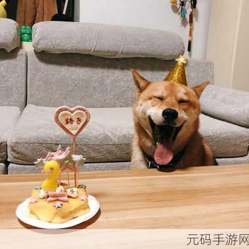 老公生日3Q的开始:当然可以!以下是一些基于“老公生日3Q”的创意标题,字数不少于10个:
