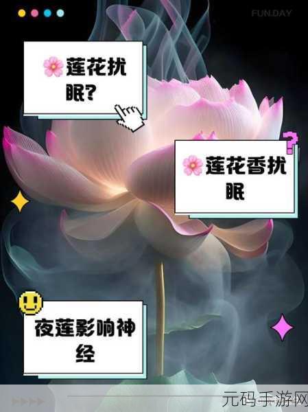 女人晚上莲花开的害处:1. 女人晚上莲花开:潜在影响与健康风险探析