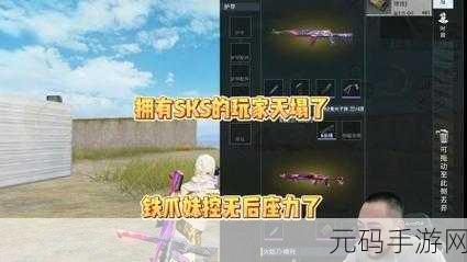 和平精英SKS玉龙团购攻略,超值皮肤等你来拿