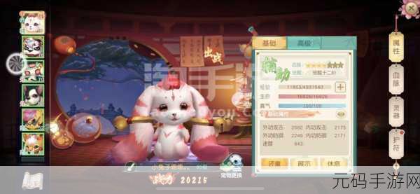 神雕侠侣手游,宠物放生机制与生肖护符新揭秘