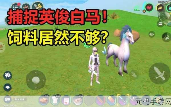 创造与魔法英俊白马获取全攻略，解锁稀有坐骑的奇幻之旅