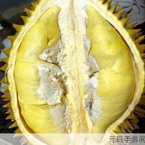 榴莲黄瓜草莓秋葵茄子污版：1. 榴莲与黄瓜的奇妙碰撞：夏日清新美味