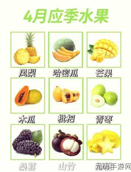 香蕉樱桃水蜜桃猕猴桃菠萝视频：1. ＂水果盛宴：香蕉、樱桃、水蜜桃的美味搭配