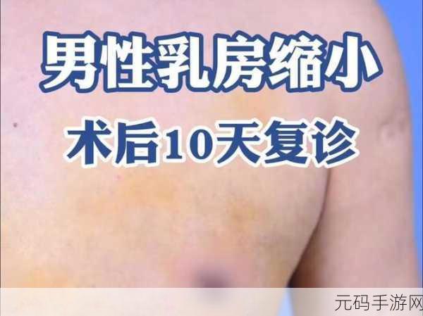 生完孩子那两瓣越来越小了呢：1. 生育后的身体变化：乳房逐渐缩小的原因探讨