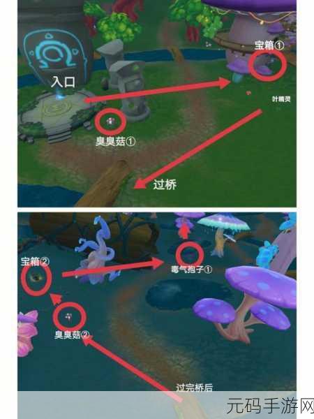 摩尔庄园手游，获取枫树家具的全方位指南