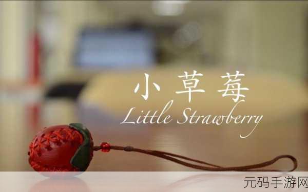 草莓传媒充值的钱能退回来吗:1. 草莓传媒充值后能否全额退款?了解相关政策