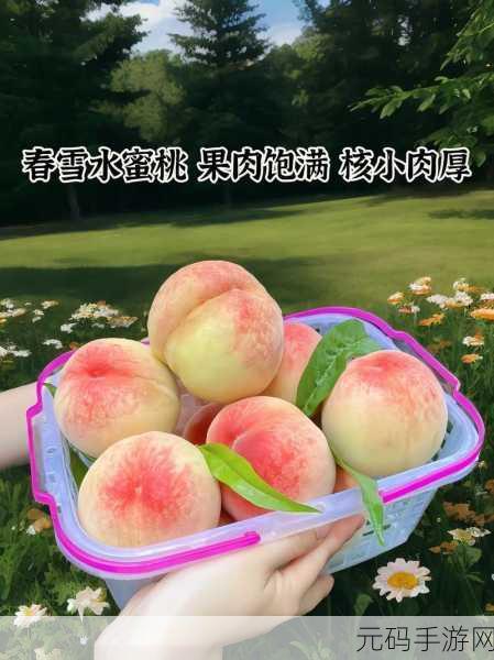 x7x7x7x7水蜜桃免费:1. 水蜜桃的美味世界:探寻七种吃法