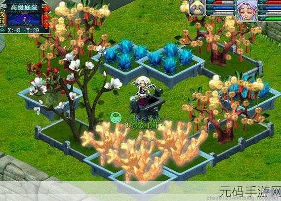 梦幻西游手游,打造绿意盎然的私人庭院,植物种植全攻略