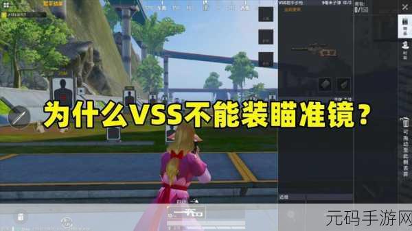 和平精英,揭秘VSS神秘刷新点,助你战场称雄