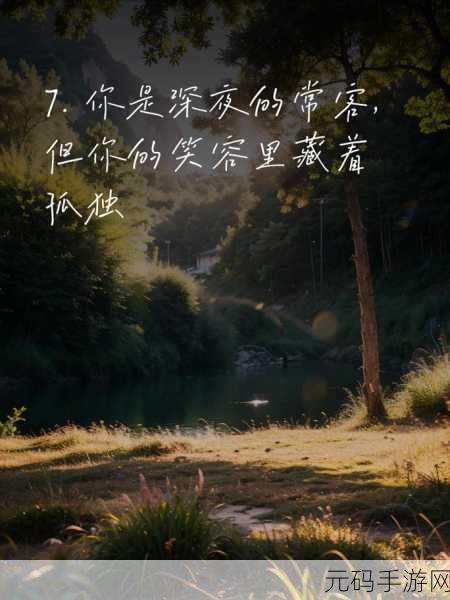 适合男人深夜孤独寂寞的句子重新开放：1. 深夜孤独：男人心灵深处的低语